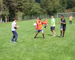 IMG 7986