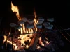 thumbs IMG 7737