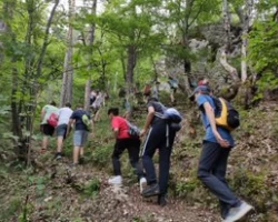 JPEG.4