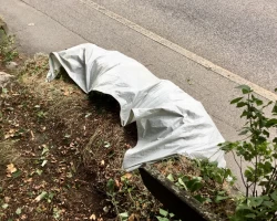 Arbeitseinsatz