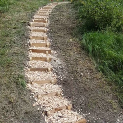 20180829 Treppe Holzweg