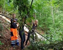 Arbeitseinsatz Naturpark Thal Sek E 3a Matzendorf