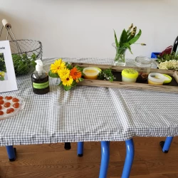 Foto Projektarbeit Matzendorf Pflanzenheilkunde