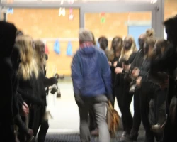 IMG 9772