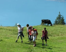 IMG 3541