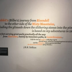 IMG 1781