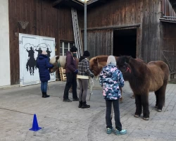 Workshop_Islandpferde kennenlernen und erleben